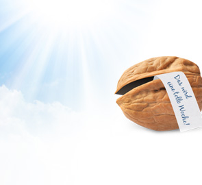 La noix du lundi de Henkel Lifetimes