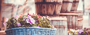 Gartendeko - 4 Ideen für kreative Pflanzgefässe