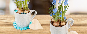 Frühlingsblumen als Tischdeko & Geschenkidee