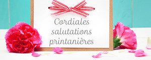 Cadeau DIY: des fleurs pour la Fête des mères & Co